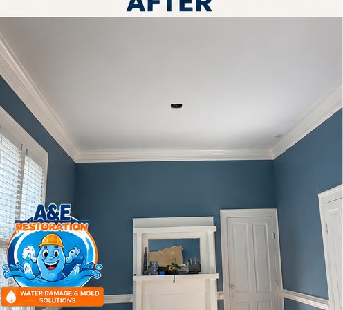 Ceiling Tear-Out & Rebuild — after
