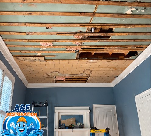 Ceiling Tear-Out & Rebuild — before