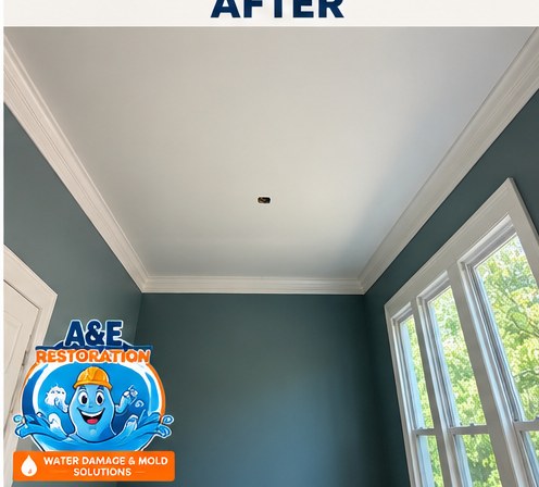 Prime & Paint Finish — after